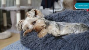 1762240434 4022feeafdb6f0af0083