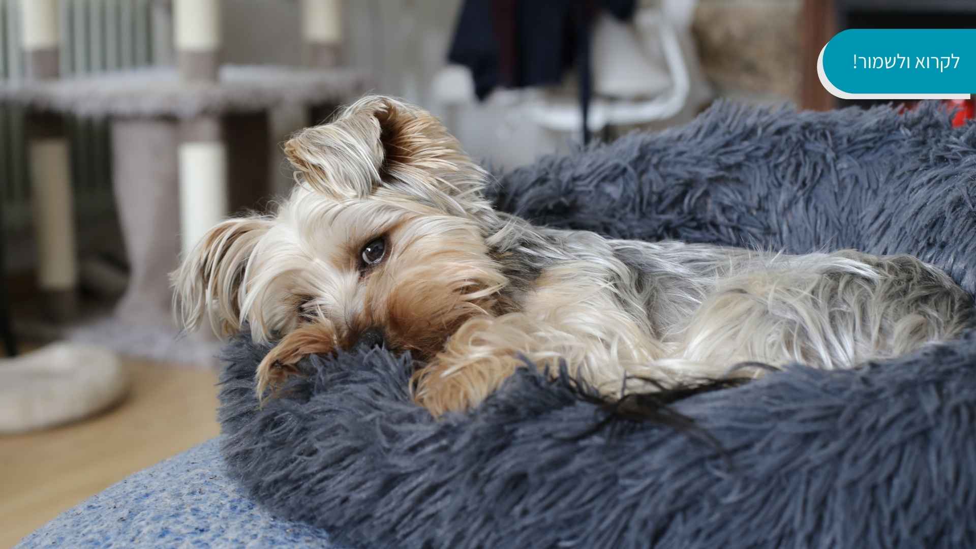 1762240434 4022feeafdb6f0af0083